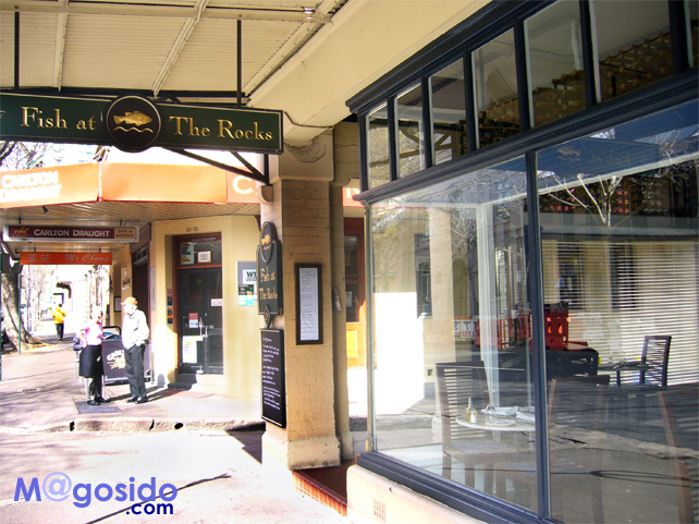 �V�h�j�[ �t�B�b�V���A�b�g�U���b�N�X