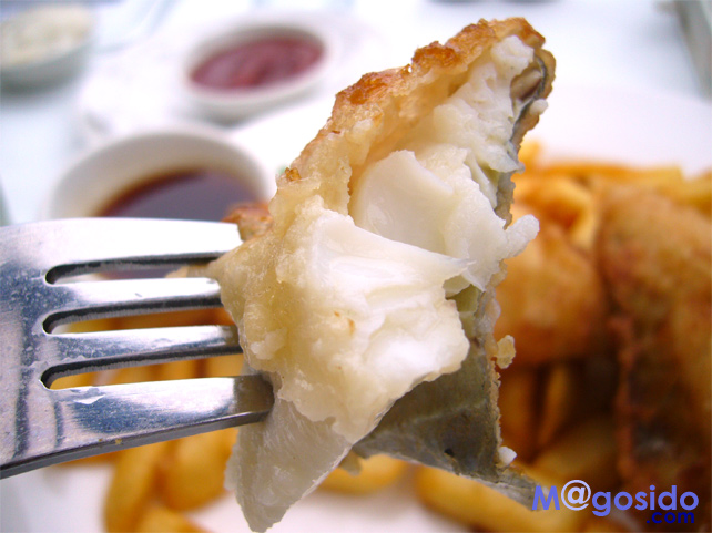 �V�h�j�[�t�B�b�V���A���h�`�b�v�X