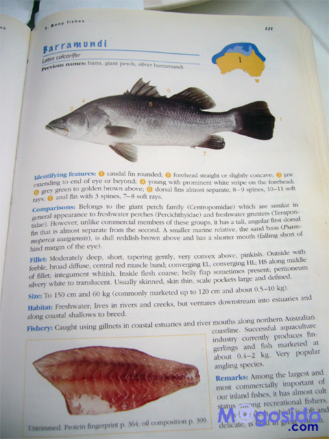 �V�h�j�[�t�B�b�V���A���h�`�b�v�X