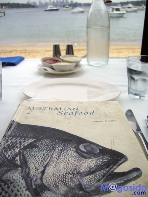 �V�h�j�[�t�B�b�V���A���h�`�b�v�X