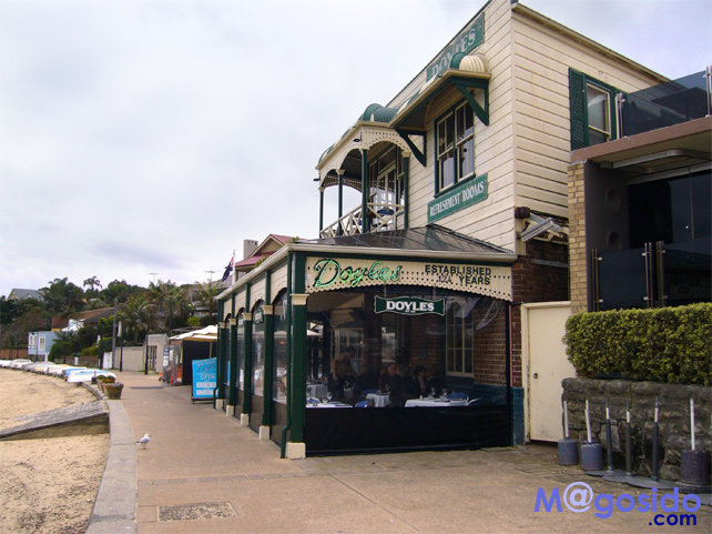 �V�h�j�[�t�B�b�V���A���h�`�b�v�X