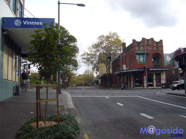 �V�h�j�[�t�B�b�V���I���t�@�C�A�[