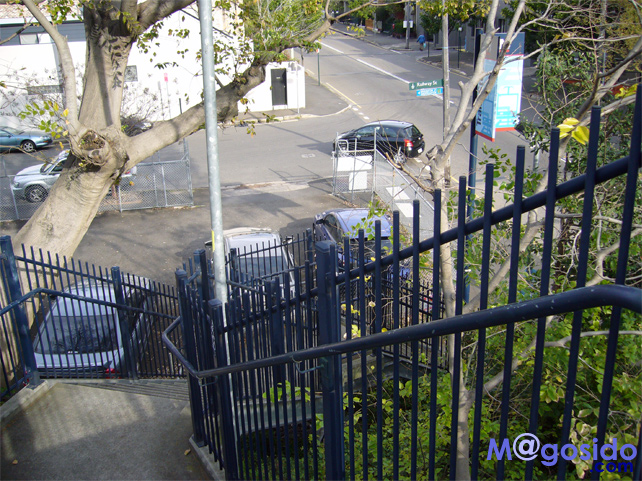 �V�h�j�[�t�B�b�V���I���t�@�C�A�[