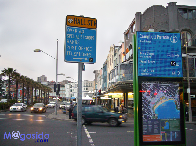 �V�h�j�[�����K�[�Y