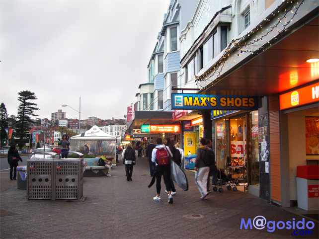 �V�h�j�[�����K�[�Y