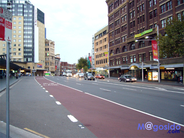 �V�h�j�[�t�B�b�V���I���t�@�C�A�[