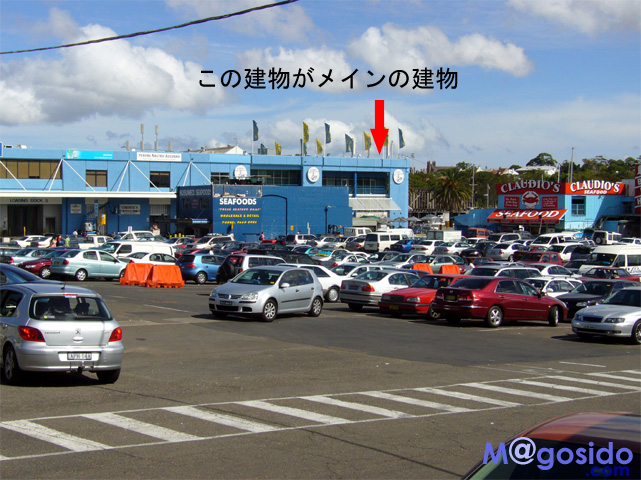 �V�h�j�[ �t�B�b�V���}�[�P�b�g