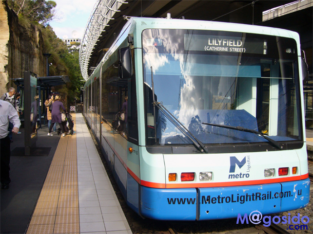 �V�h�j�[�t�B�b�V���}�[�P�b�g