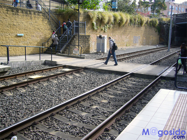 �V�h�j�[�t�B�b�V���}�[�P�b�g