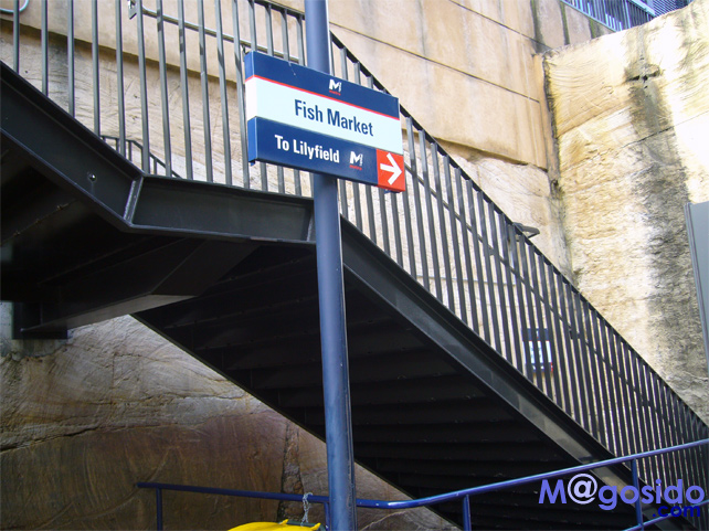 �V�h�j�[�t�B�b�V���}�[�P�b�g