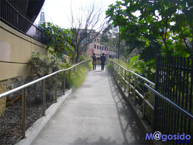 �V�h�j�[�t�B�b�V���}�[�P�b�g