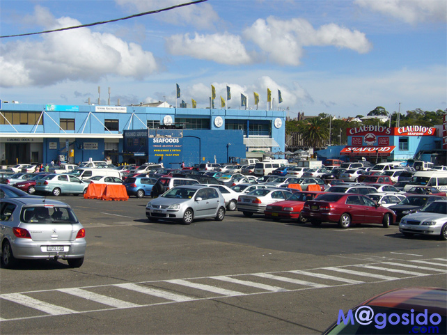 �V�h�j�[�t�B�b�V���}�[�P�b�g