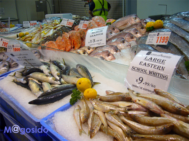 �V�h�j�[�t�B�b�V���}�[�P�b�g