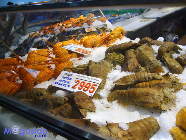 �V�h�j�[�t�B�b�V���}�[�P�b�g