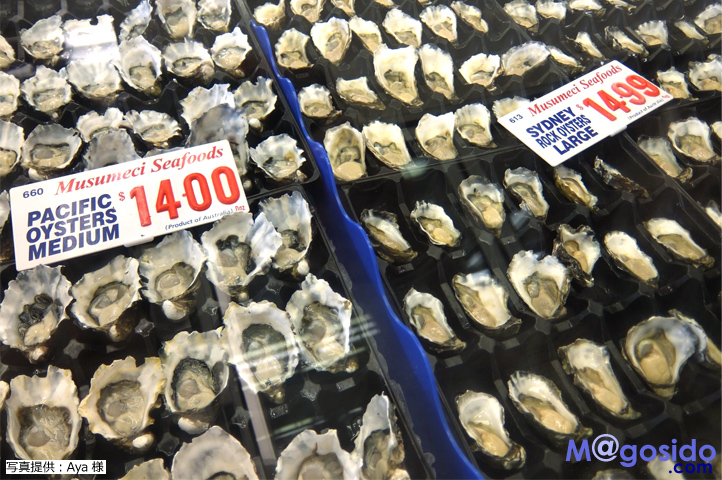 �V�h�j�[�t�B�b�V���}�[�P�b�g