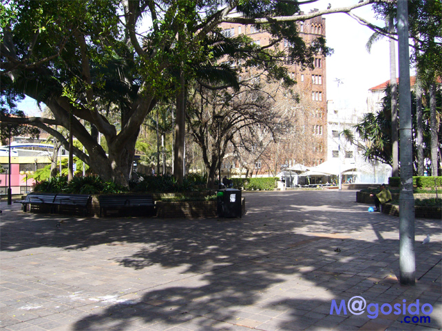 �t�B�b�c���C�K�[�f��