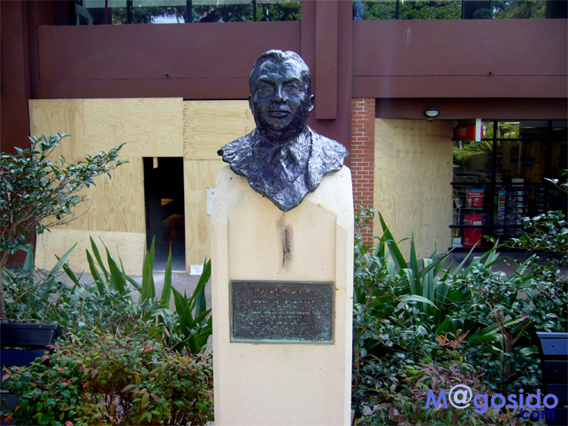 �t�B�b�c���C�K�[�f��