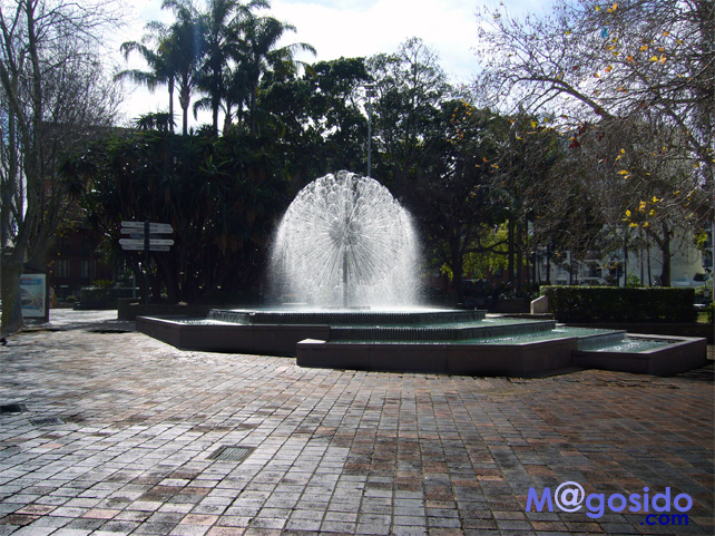 �t�B�b�c���C�K�[�f���A�G���A�����C���̕���