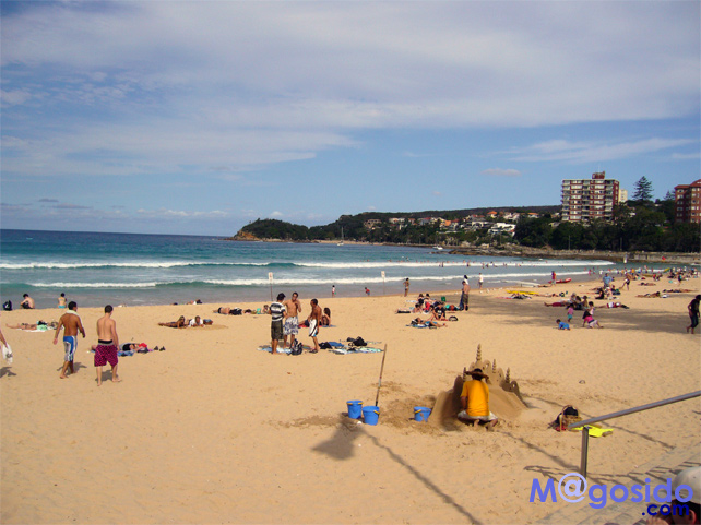 ���������r�[�`�b�}�����[ �m�[�X�w�b�h �V�h�j�[