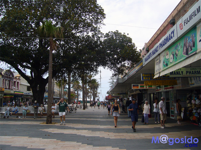 �U�E�R���\�b�}�����[ �m�[�X�w�b�h �V�h�j�[