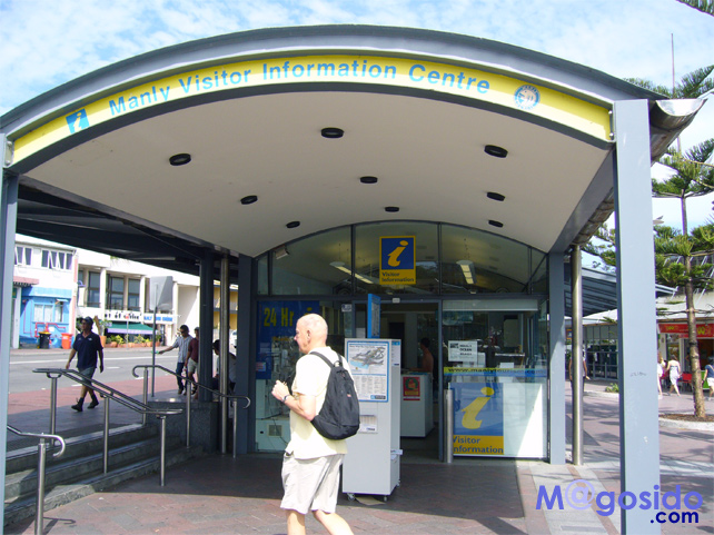 �}�����[�r�W�^�[�C���t�H���[�V�����Z���^�[�b�}�����[ �m�[�X�w�b�h �V�h�j�[