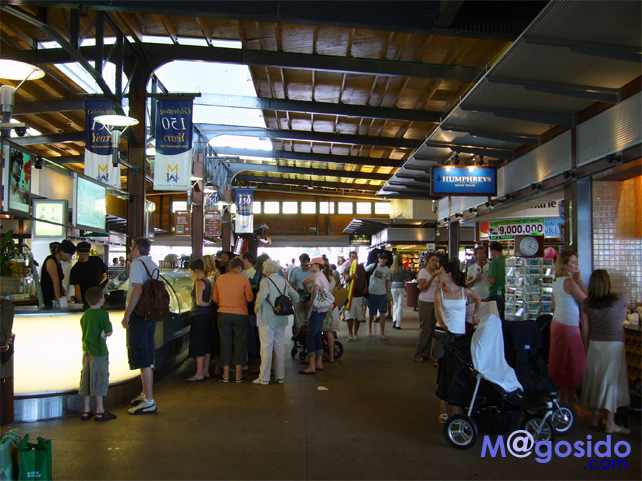 �E�H�[�t�\���b�}�����[ �m�[�X�w�b�h �V�h�j�[