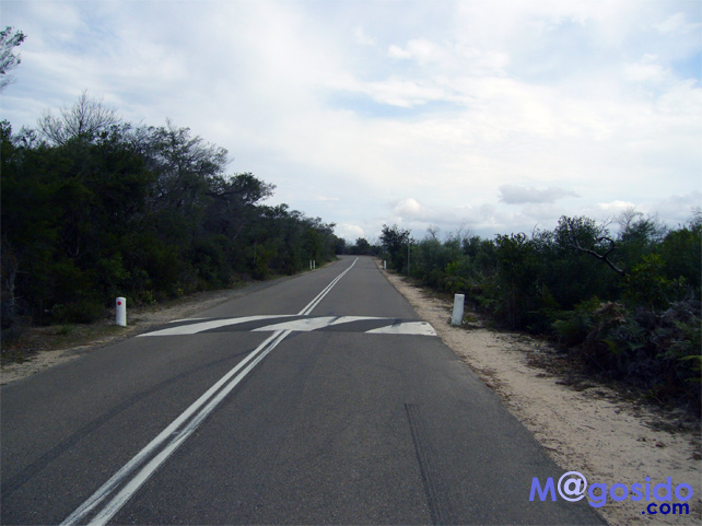 �m�[�X�w�b�h�֌��������b�}�����[ �m�[�X�w�b�h �V�h�j�[