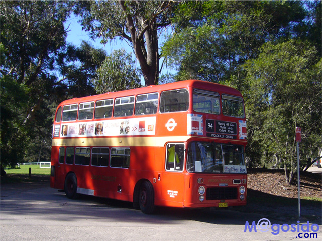 �u���[�}�E���e���Y�F�I�[�X�g�����A �V�h�j�[�ό� �V�h�j�[���s