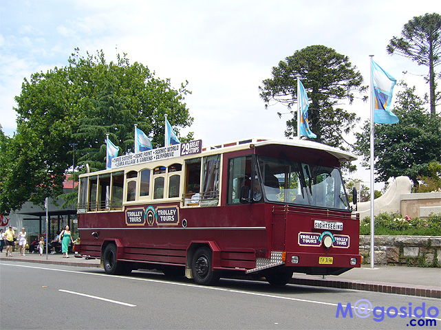 �u���[�}�E���e���Y�F�I�[�X�g�����A �V�h�j�[�ό� �V�h�j�[���s