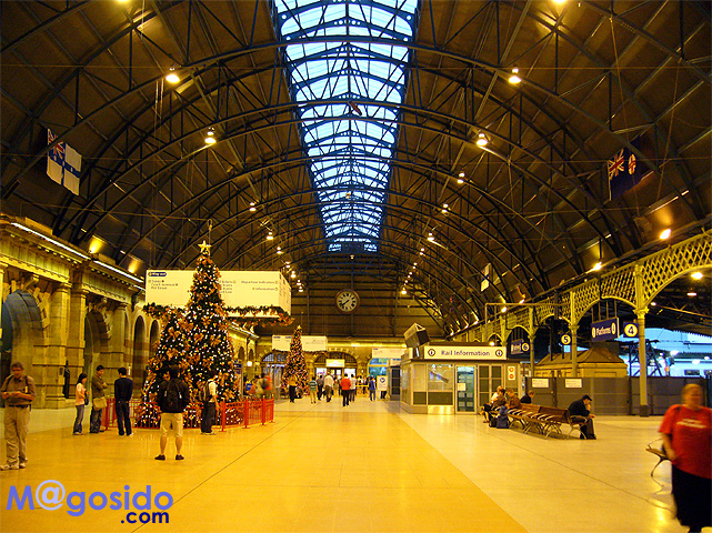 �u���[�}�E���e���Y�F�I�[�X�g�����A �V�h�j�[�ό� �V�h�j�[���s