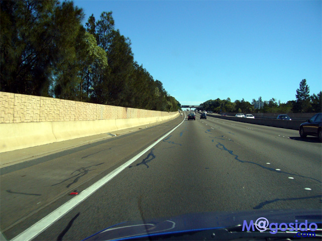 �u���[�}�E���e���Y�F�I�[�X�g�����A �V�h�j�[�ό� �V�h�j�[���s