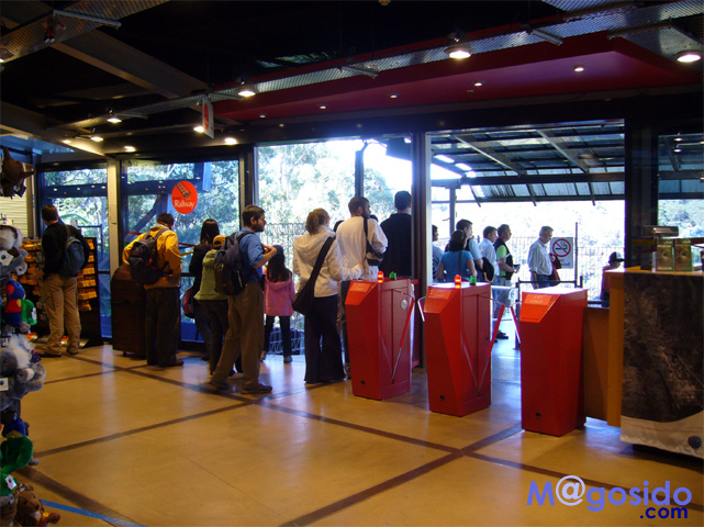 �u���[�}�E���e���Y�F�I�[�X�g�����A �V�h�j�[�ό� �V�h�j�[���s