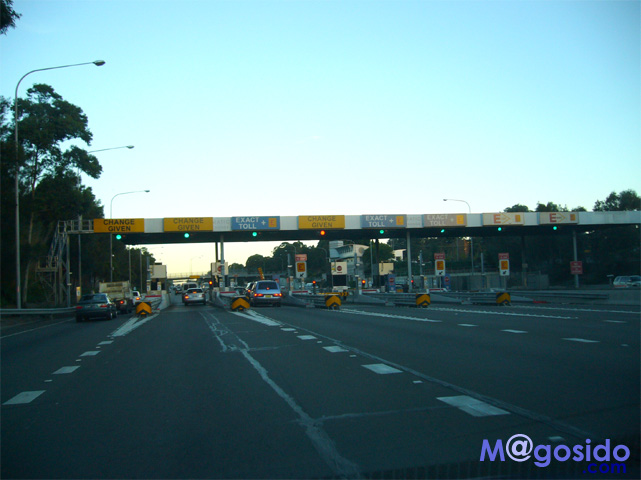 �u���[�}�E���e���Y�F�I�[�X�g�����A �V�h�j�[�ό� �V�h�j�[���s