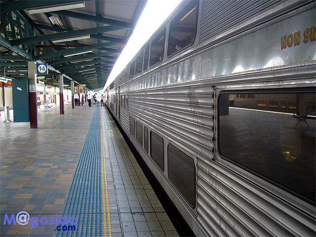 �u���[�}�E���e���Y�F�I�[�X�g�����A �V�h�j�[�ό� �V�h�j�[���s