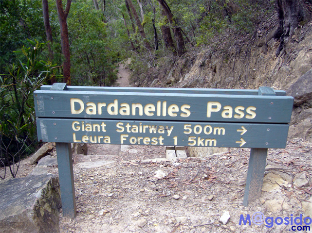 �u���[�}�E���e���Y�F�I�[�X�g�����A �V�h�j�[�ό� �V�h�j�[���s