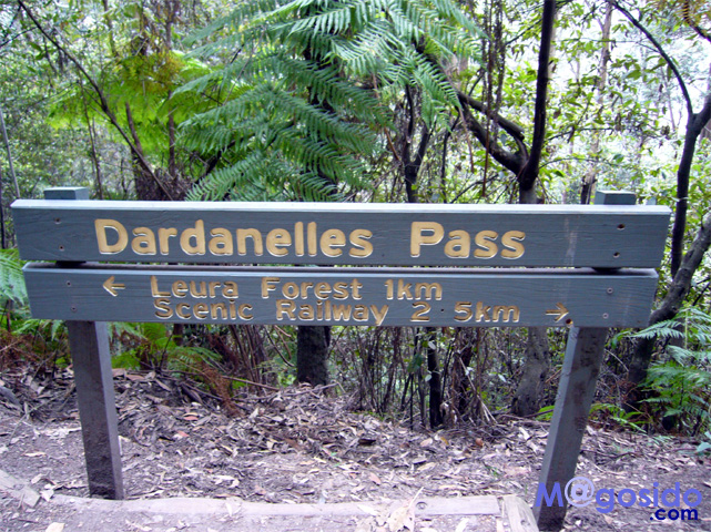 �u���[�}�E���e���Y�F�I�[�X�g�����A �V�h�j�[�ό� �V�h�j�[���s