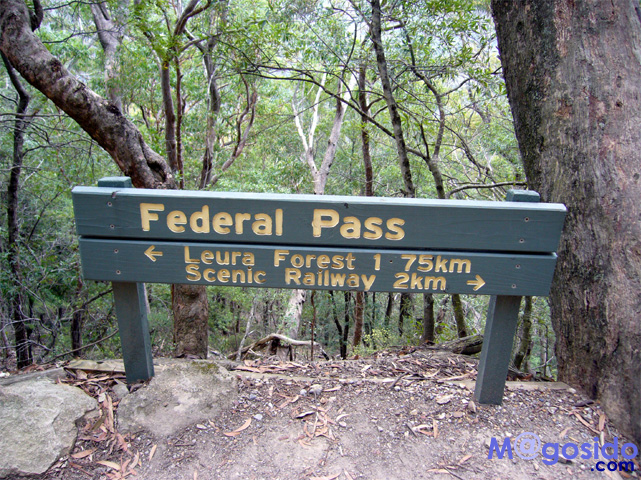 �u���[�}�E���e���Y�F�I�[�X�g�����A �V�h�j�[�ό� �V�h�j�[���s