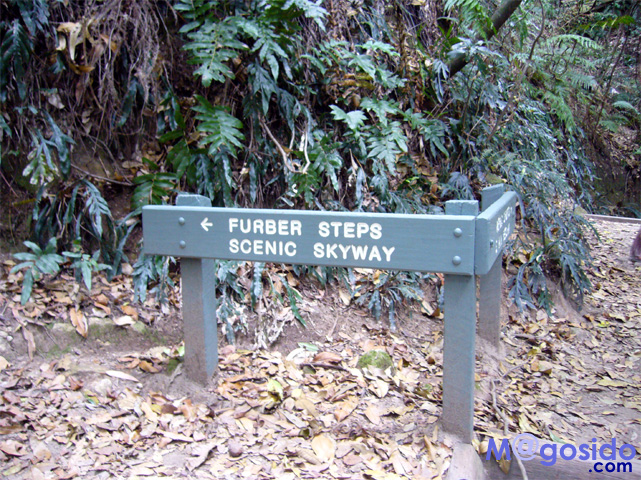 �u���[�}�E���e���Y�F�I�[�X�g�����A �V�h�j�[�ό� �V�h�j�[���s