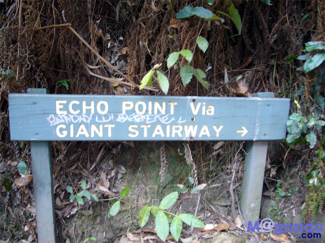 �u���[�}�E���e���Y�F�I�[�X�g�����A �V�h�j�[�ό� �V�h�j�[���s