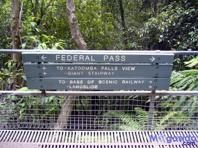 �u���[�}�E���e���Y�F�I�[�X�g�����A �V�h�j�[�ό� �V�h�j�[���s