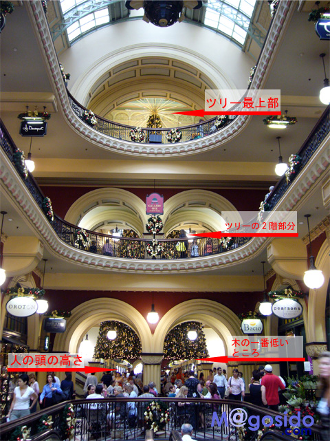 �I�[�X�g�����A �V�h�j�[ QVB �N���X�}�X�c���[