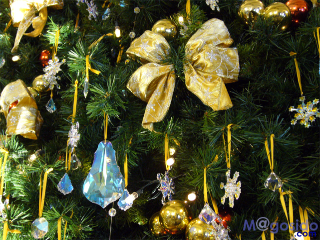 �I�[�X�g�����A �V�h�j�[ QVB �N���X�}�X�c���[