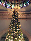 �V�h�j�[ QVB �N���X�}�X�c���[