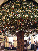 �V�h�j�[ QVB�N���X�}�X�c���[