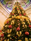�V�h�j�[ QVB�N���X�}�X�c���[