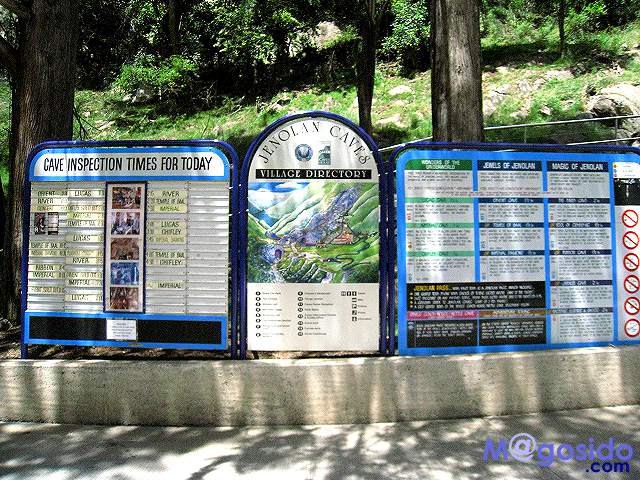 �I�[�X�g�����A �V�h�j�[ �u���[�}�E���e���Y �W�F�m�����P�[�u �I�v�V���i�� �c�A�[