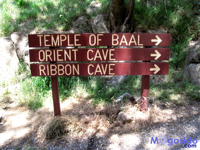 �I�[�X�g�����A �V�h�j�[ �u���[�}�E���e���Y �W�F�m�����P�[�u �I�v�V���i�� �c�A�[