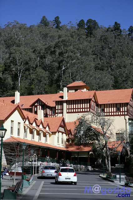 �I�[�X�g�����A �V�h�j�[ �u���[�}�E���e���Y �W�F�m�����P�[�u �I�v�V���i�� �c�A�[