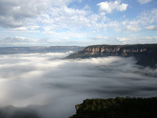 �I�[�X�g�����A �V�h�j�[ �u���[�}�E���e���Y �W�F�m�����P�[�u �I�v�V���i�� �c�A�[