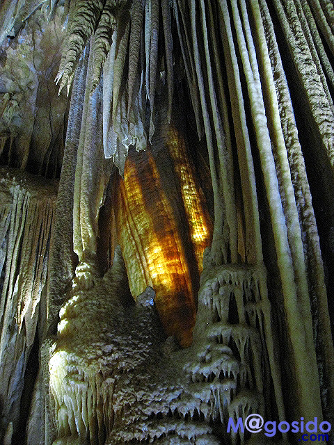 �I�[�X�g�����A �V�h�j�[ �u���[�}�E���e���Y �W�F�m�����P�[�u �I�v�V���i�� �c�A�[